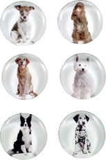 Picture of MAGNETS dogs 1-1 – magnet diameter 40 mm