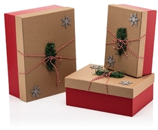 Slika JINGLE POKLON KUTIJA 230x315x125 MM