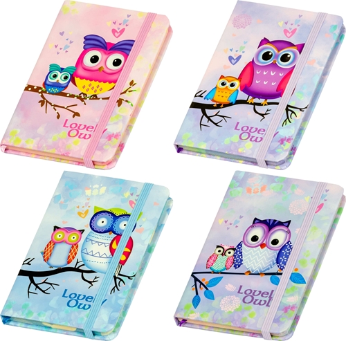 Slika OWL ORGANIZER A6