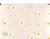 Slika DAISY FASCIKL S ZIPOM