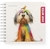 Slika GOOD NOTES ORGANIZER 16x16 CM CRTE