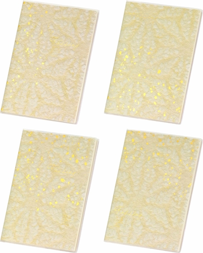 Picture of ELEGANT GOLD BILJEŽNICA B5 CRTE