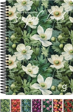 Slika od SCRIPT BOOK SPIRALNA BILJEŽNICA A4 CRTE
